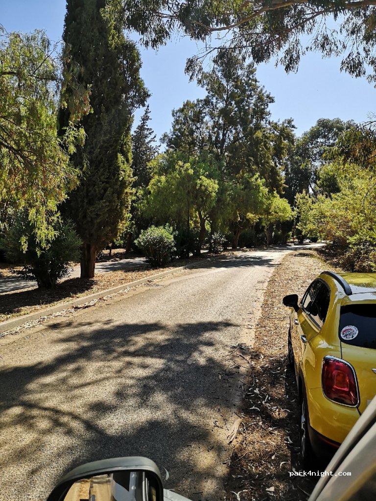 (83980) Le Lavandou - Avenue du Golf — foto