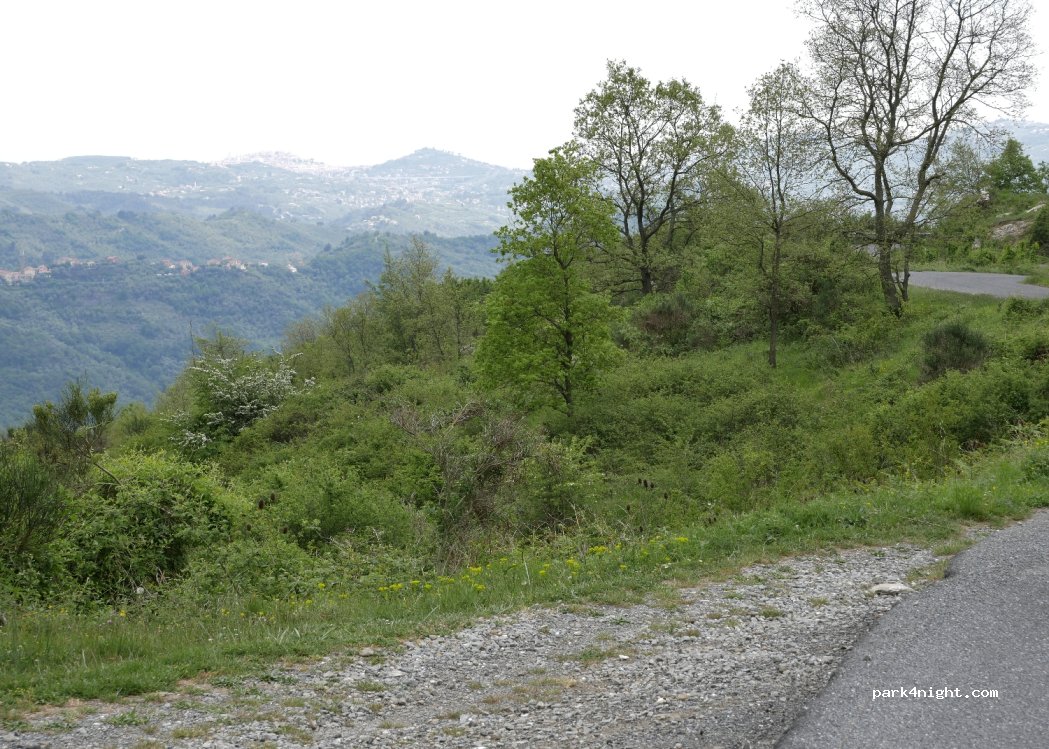 (18020) Pantasina - Strada Provinciale 93 — foto 3