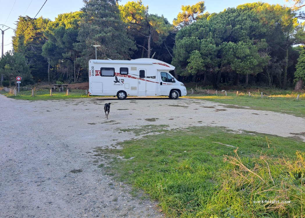 (17590) Ars-en-Ré - Les Faux — foto