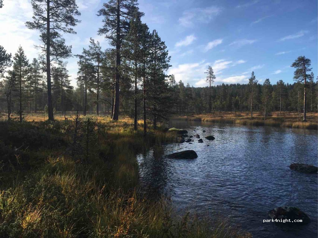 (2443) Drevsjø - Unnamed Road — foto