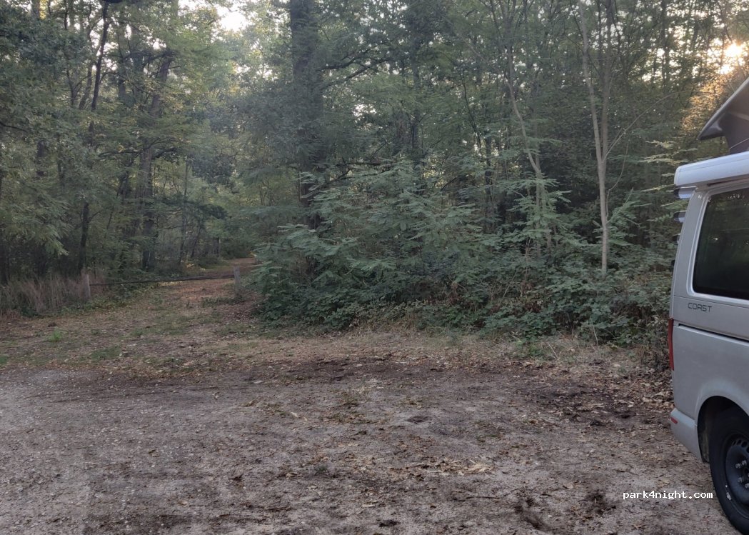 (41600) Lamotte-Beuvron - Route de Chaumont — foto 2