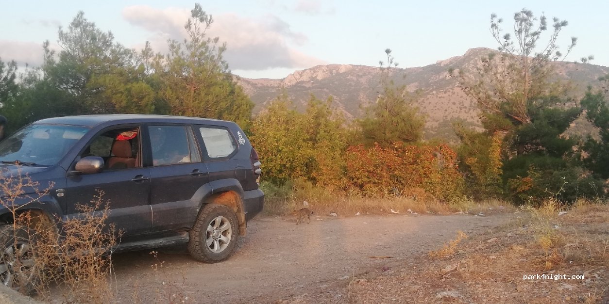 (05000) Yuvacık/Amasya - Kale Yolu — foto 2