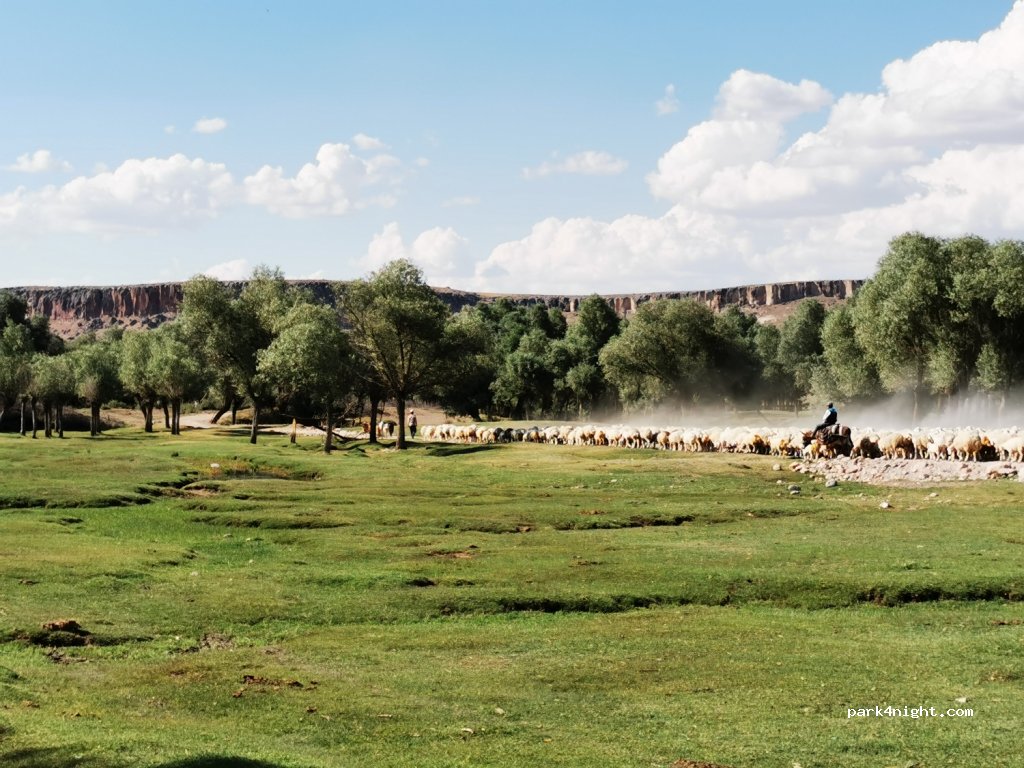 (68900)  - Aşıklıhöyük Yolu — foto 2