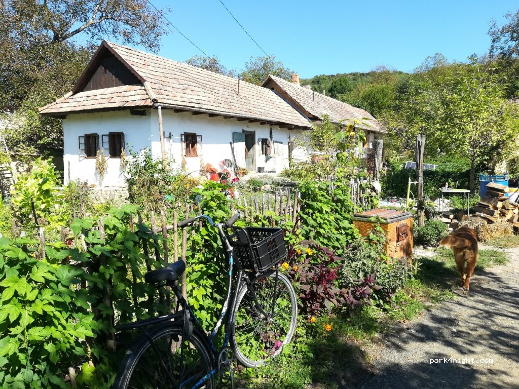 Vadvirág teaház — foto