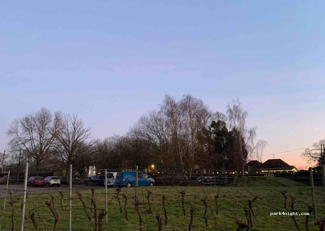 The Vineyard — foto 2