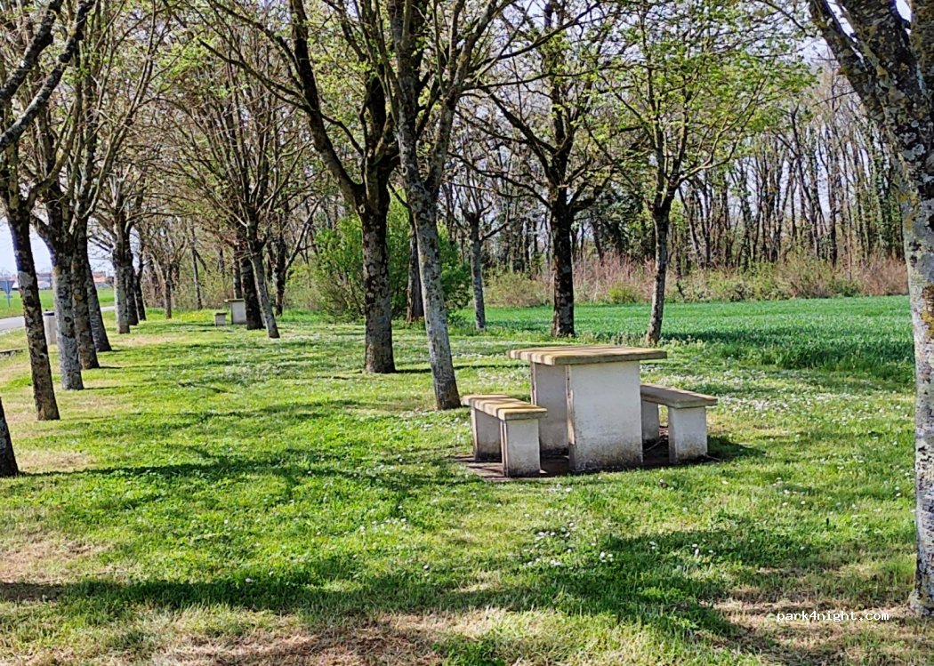 (17700) Saint-Georges-du-Bois - D911 — foto