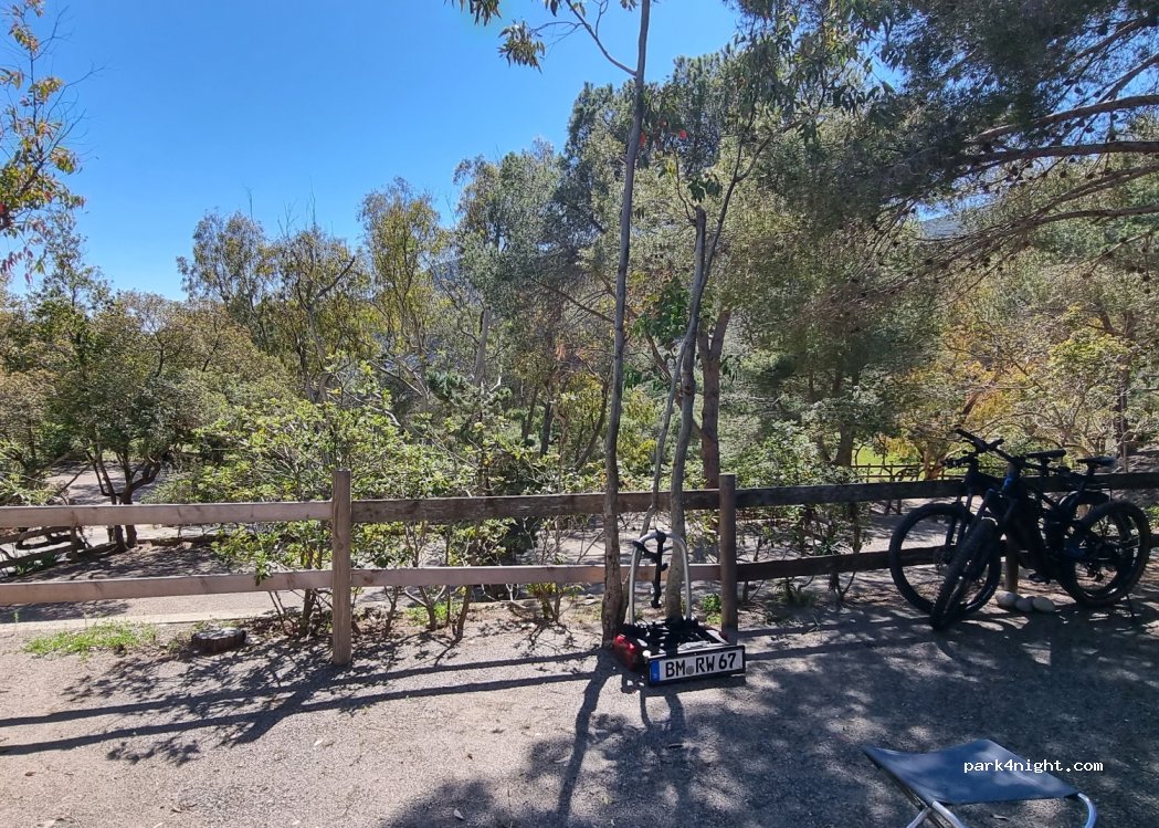 Tallinucci Camping — foto