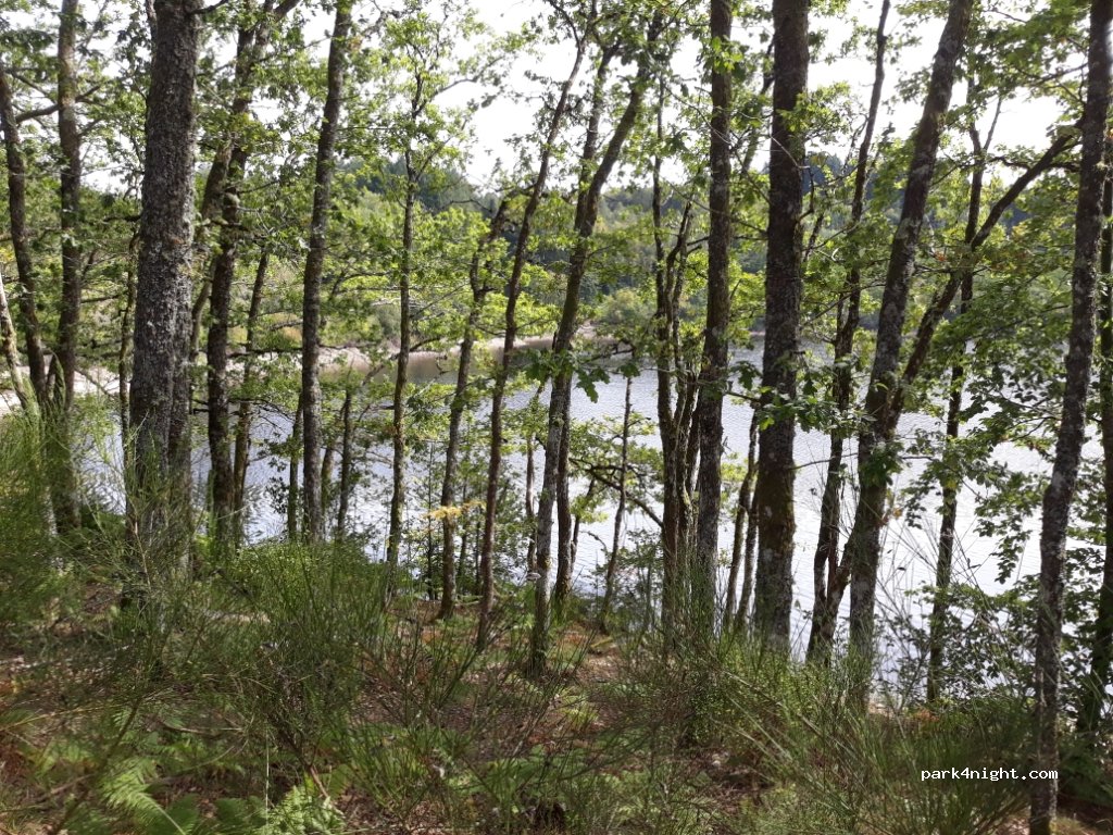 (23460) Royère-de-Vassivière - D3A2 — foto