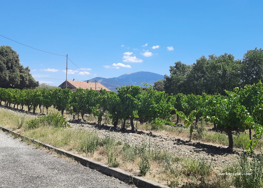 (84110) Crestet - Chemin de la Magdelaine — foto 4