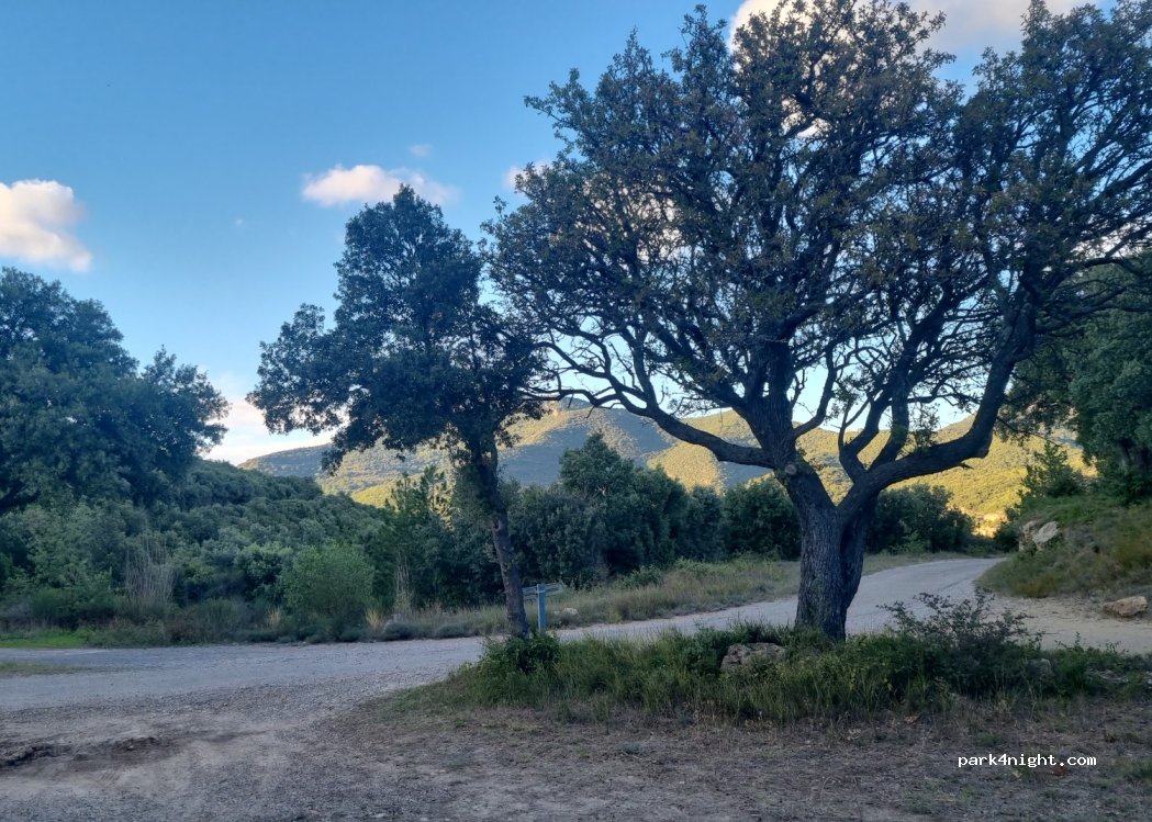 (34725) Saint-Saturnin-de-Lucian - Unnamed Road — foto 3