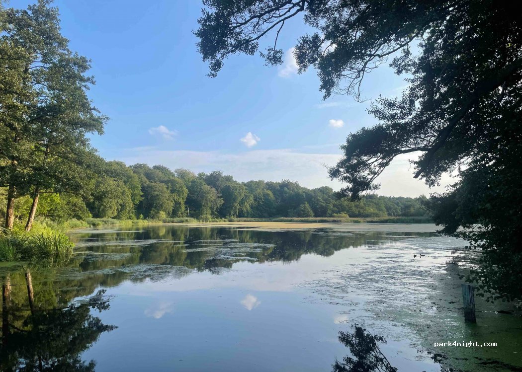 (2800) Kongens Lyngby - Svenskevej — foto 2