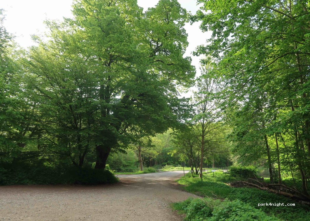 (2800) Kongens Lyngby - Svenskevej — foto 4