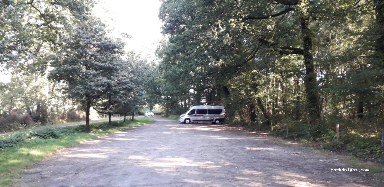 (35133) Parigné - Lande Marais — foto