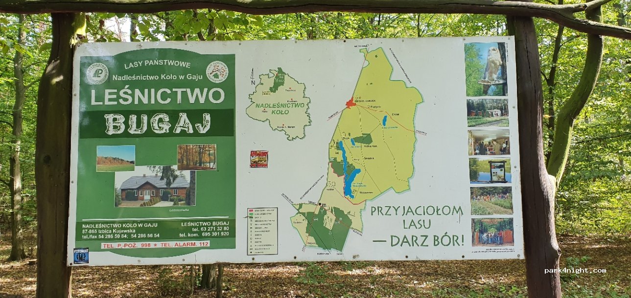 (62-620) Babiak - Droga Wojewódzka 263 — foto 2