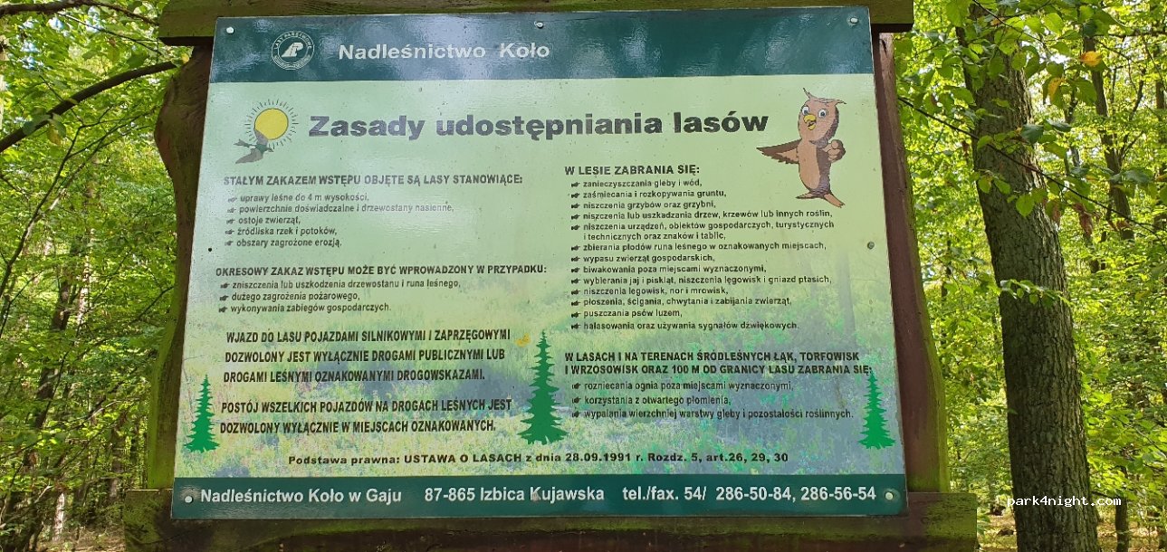 (62-620) Babiak - Droga Wojewódzka 263 — foto 3