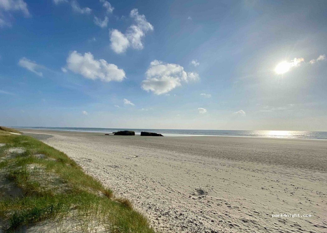 (29720) Tréguennec - D156 — foto