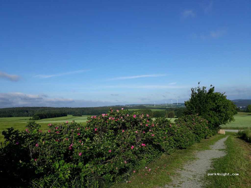 Naturhof Vogtland — foto 2