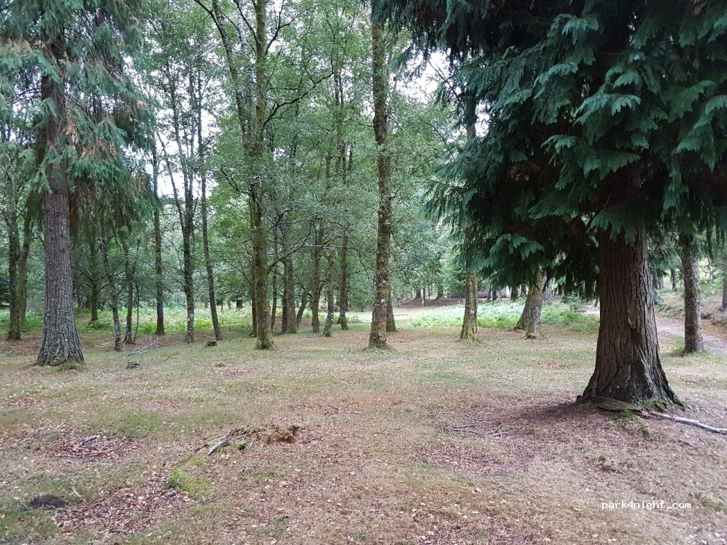 (4960) Lamas de Mouro - Unnamed Road — foto 2
