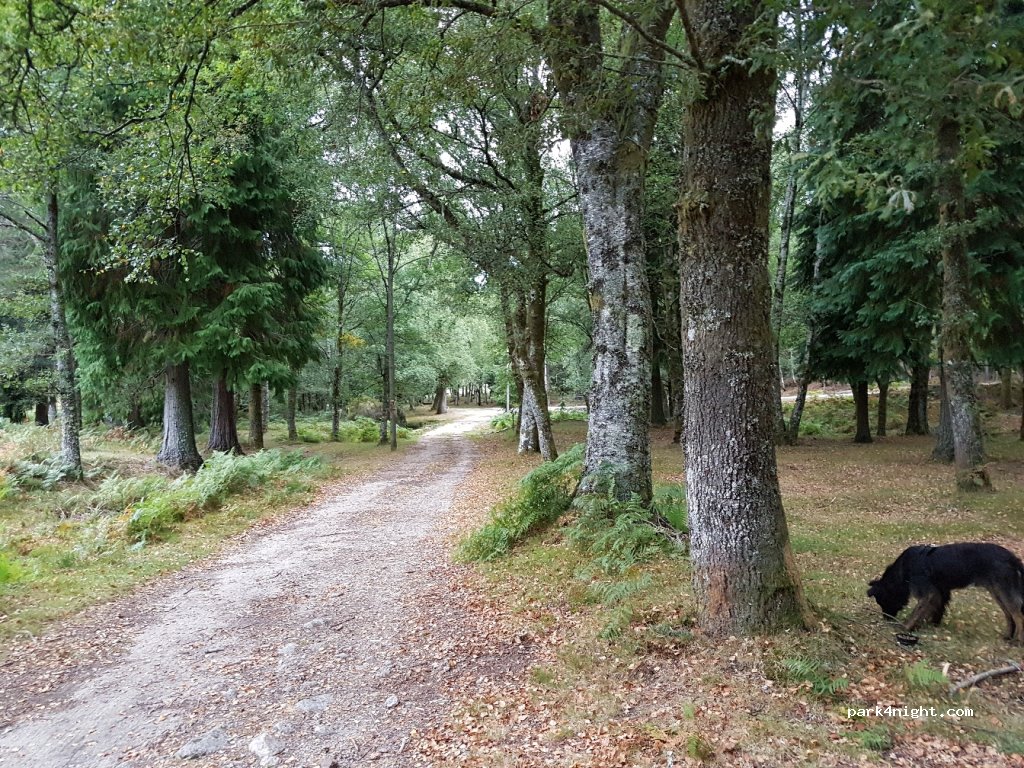 (4960) Lamas de Mouro - Unnamed Road — foto 3