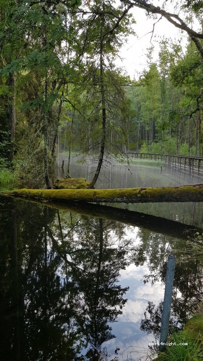 Ingboviken — foto 4
