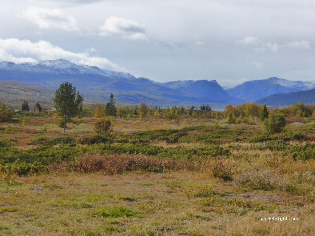 (2960) Røn - Panoramavegen — foto 3