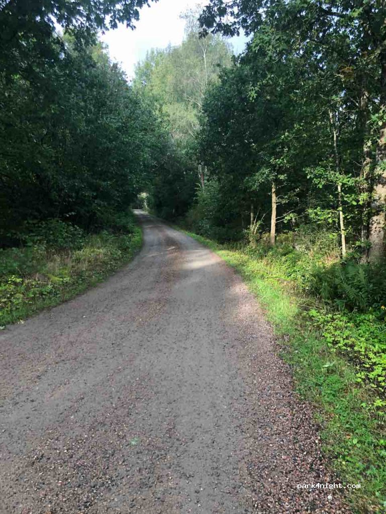 (247 94)  - Unnamed Road — foto