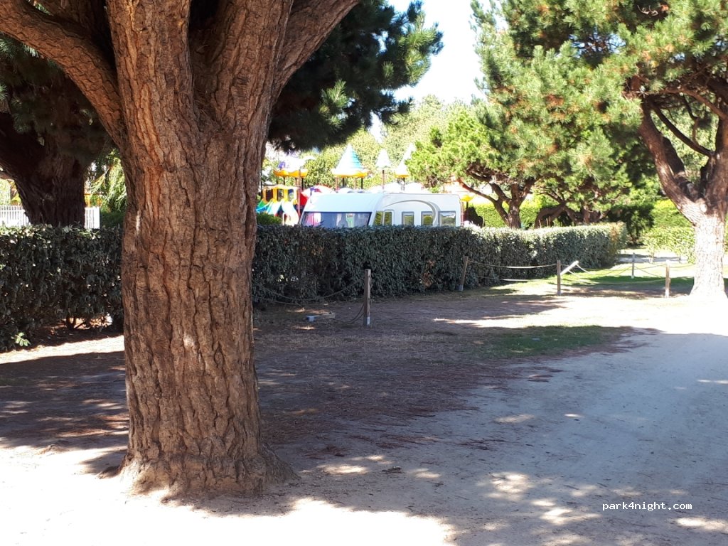 Camping Les Palmiers — foto
