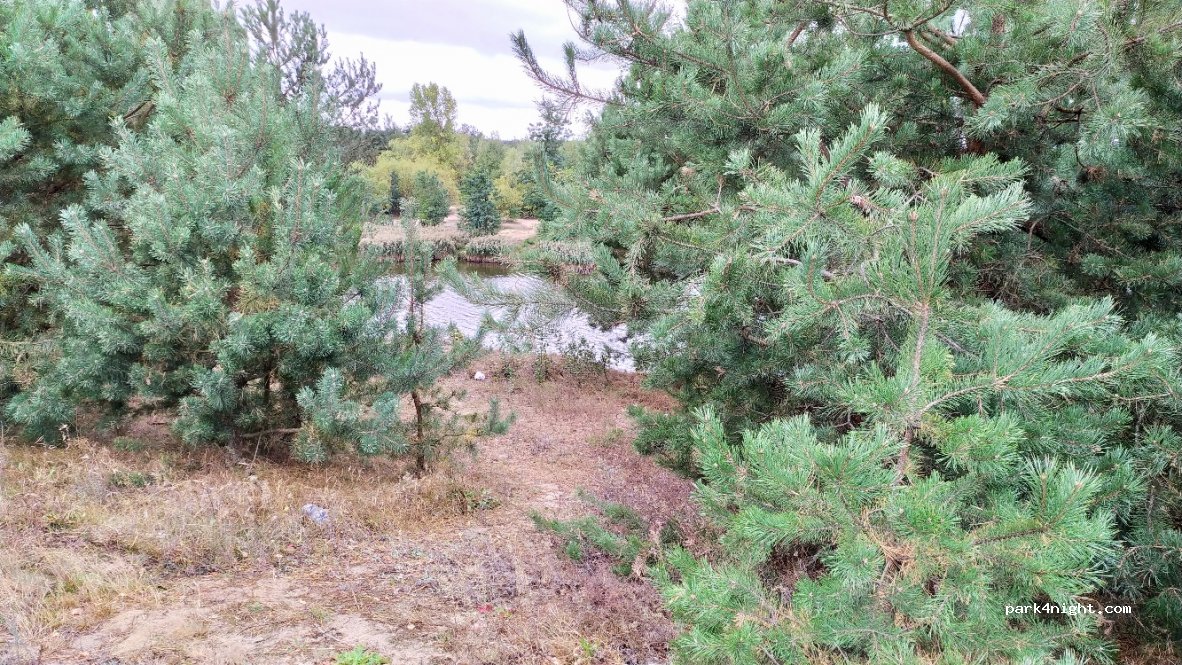 (21-500) Woskrzenice Duże - — foto 2