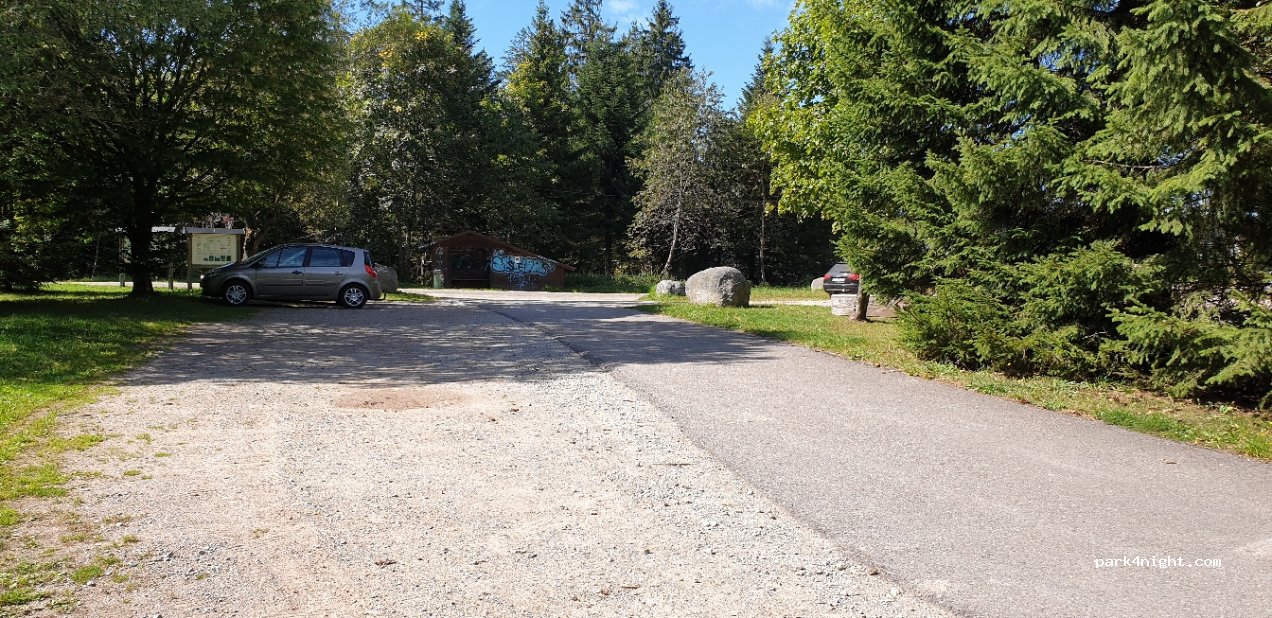 (78141) Schönwald im Schwarzwald - Unnamed Road — foto