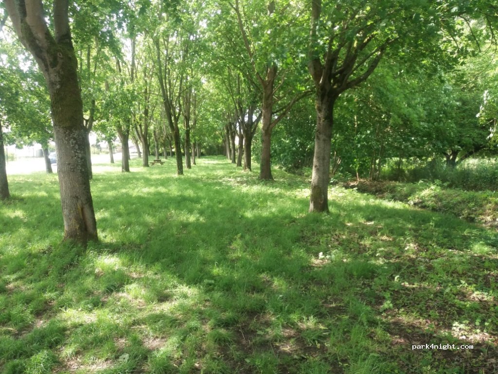 (45300) Dadonville - 1 Rue du Gué aux Dames — foto 2