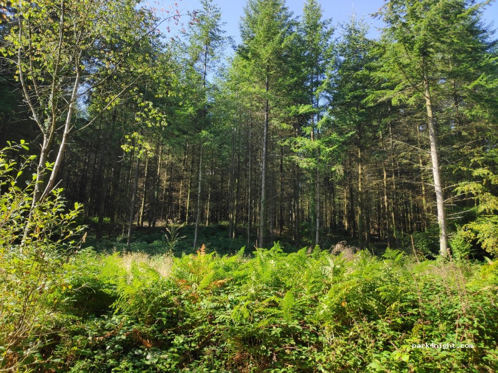 (NP16 6ST)  - Unnamed Road — foto 2