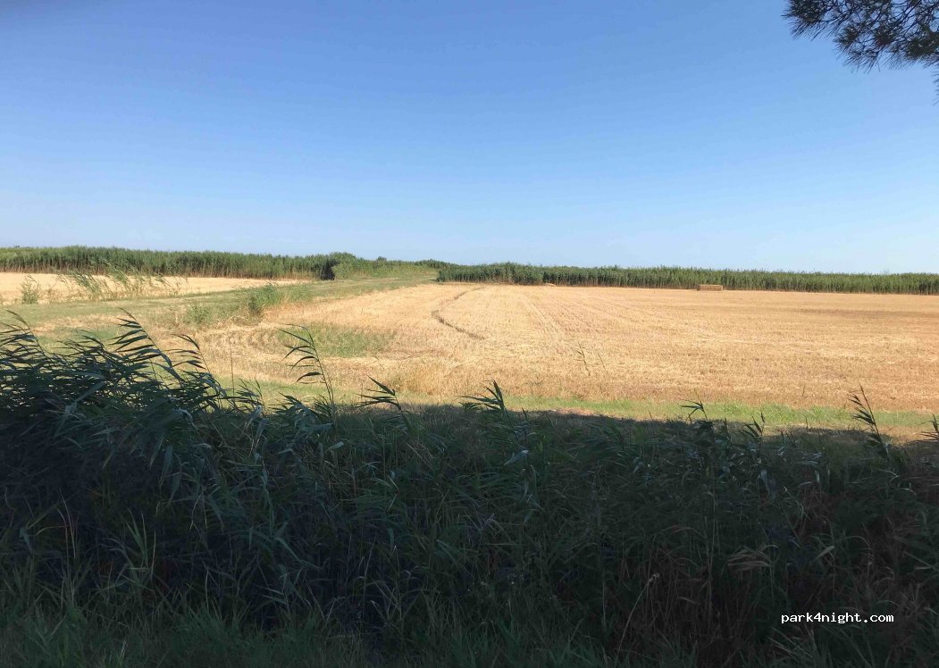 (13123) Arles - Route des Saintes Maries de la Mer — foto 2