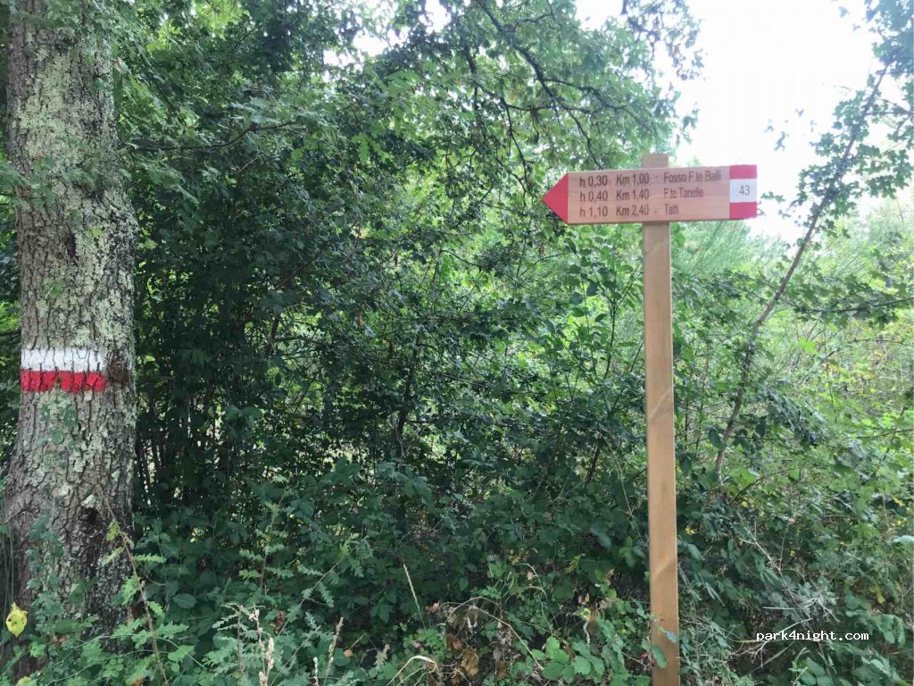 (58026) Boccheggiano - Strada Provinciale Montemassi — foto 3