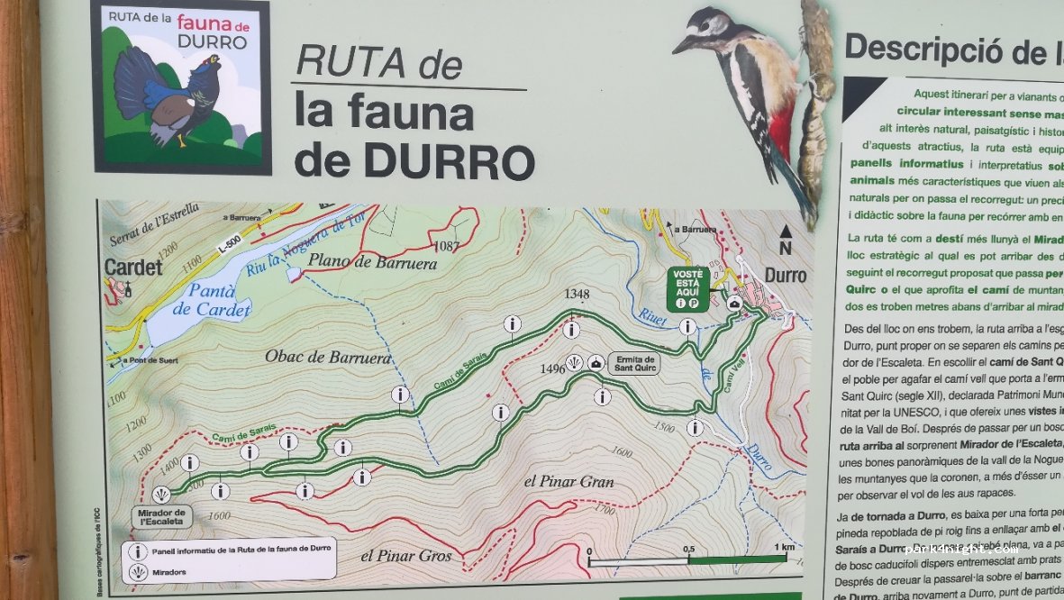 (25527) Durro - 7 Carretera Barruera,ag. Durro — foto 4