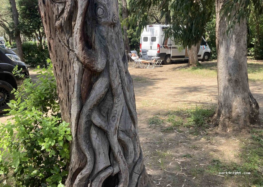 Camping Calamar — foto 5