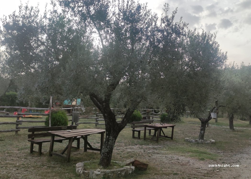 Agriturismo Terra Nostra — foto 3