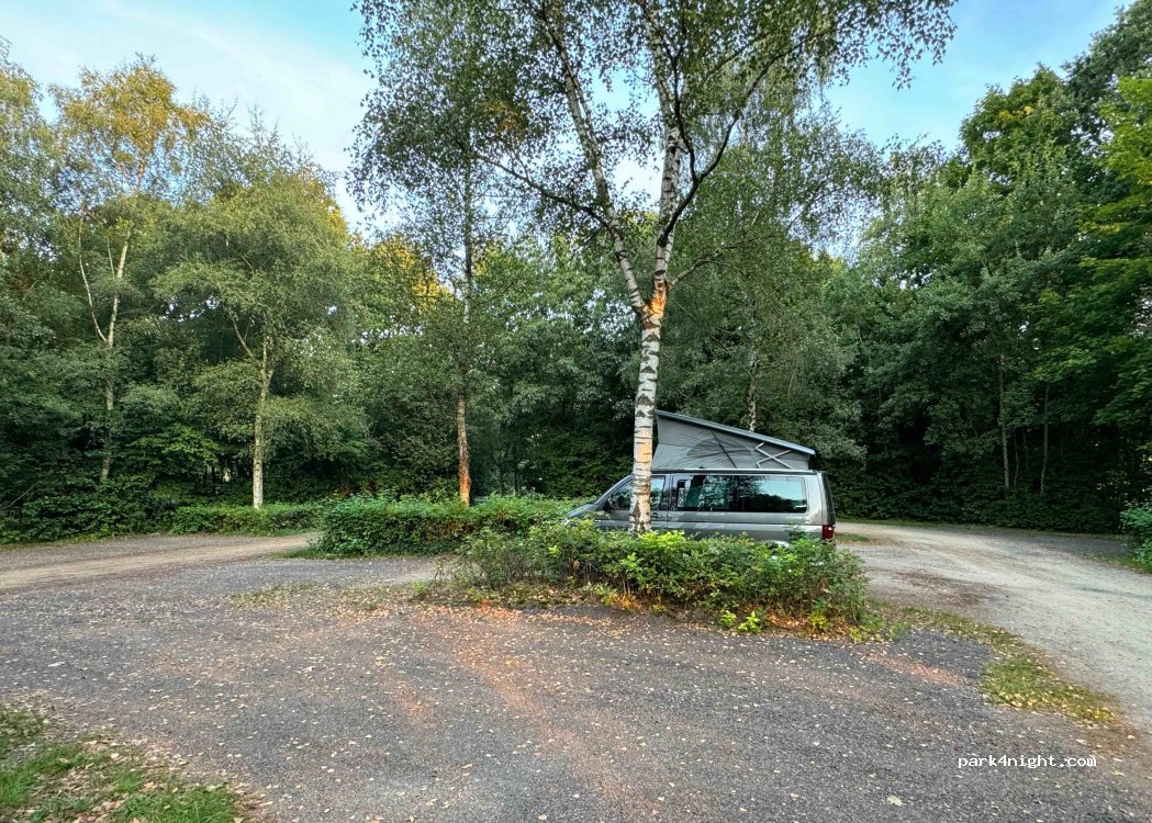 (49811) Lingen (Ems) - 4 Brockhausen — foto 4