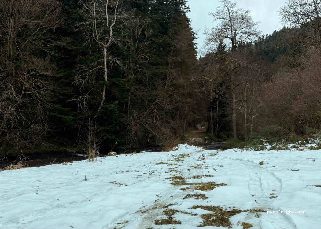 (43160) Saint-Pal-de-Senouire - La Prade — foto 5
