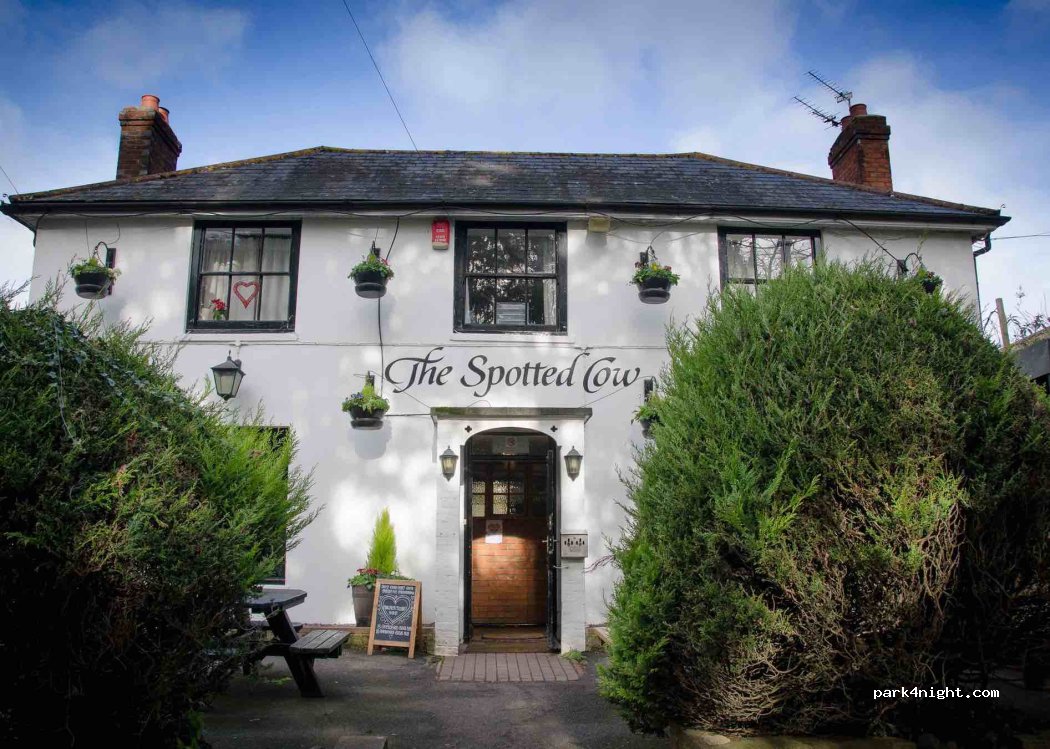 The Spotted Cow — foto