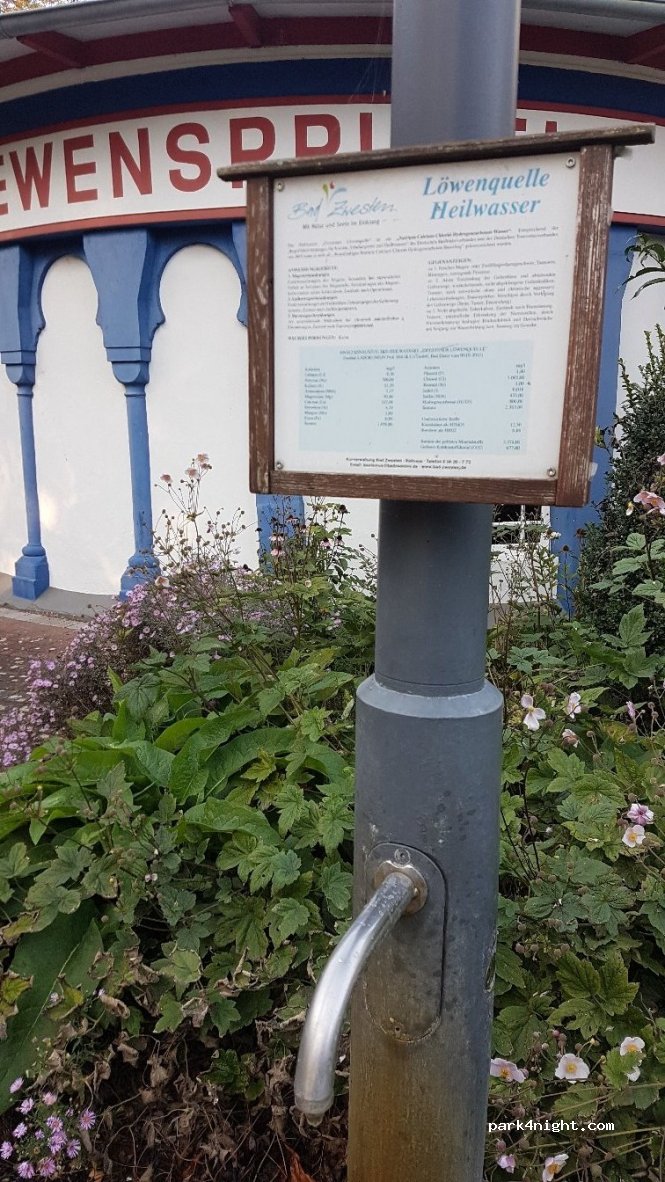 (34596) Bad Zwesten - 1 Niederurffer Straße — foto 4