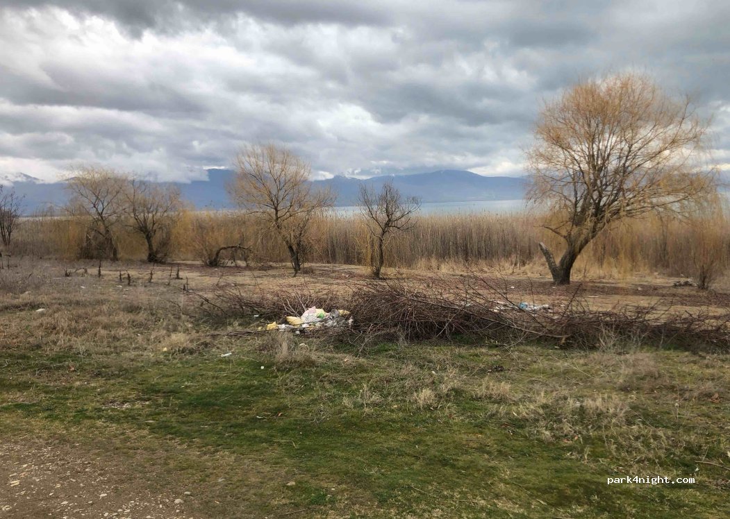 () Otesevo - P503 — foto 4