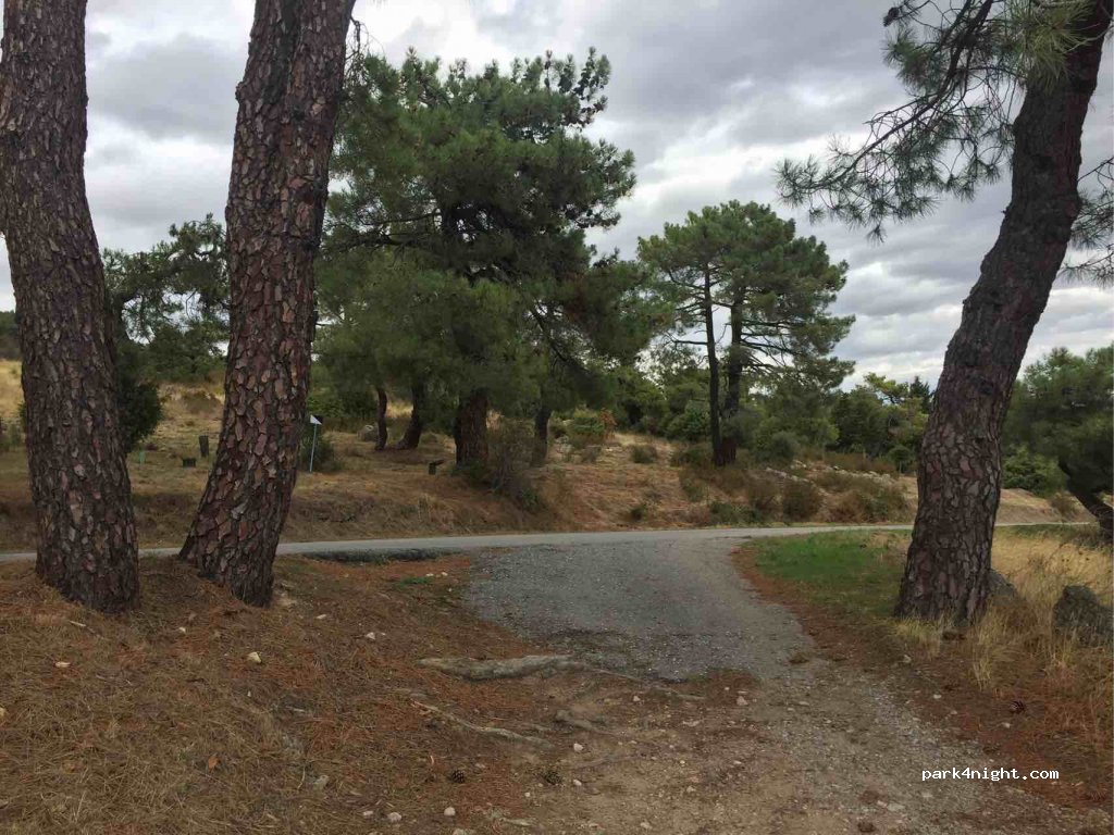 (28200) San Lorenzo de El Escorial - 382 Calle Monte Escorial — foto 3