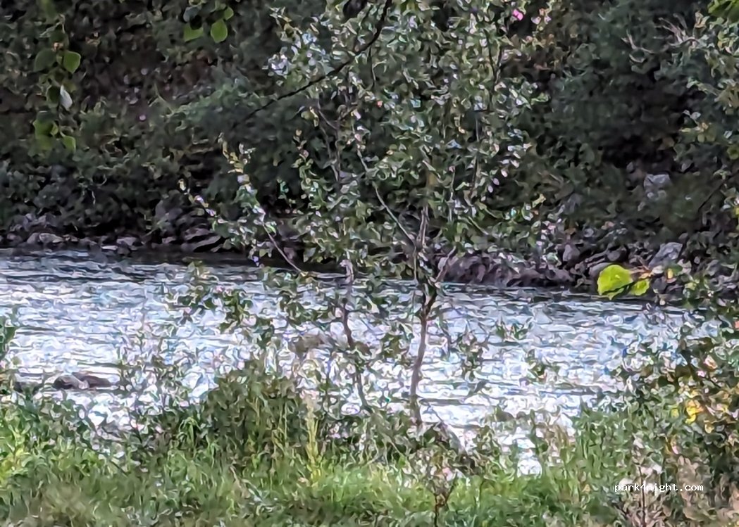Campa Gärna här — foto 3