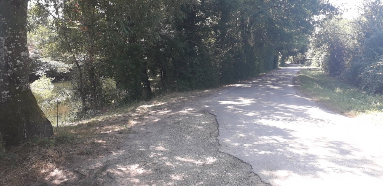 (33660) Saint-Seurin-sur-l'Isle - 3 Chemin des Peupliers — foto