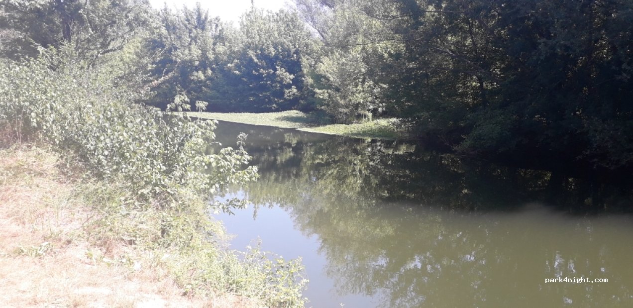 (33660) Saint-Seurin-sur-l'Isle - 3 Chemin des Peupliers — foto 3