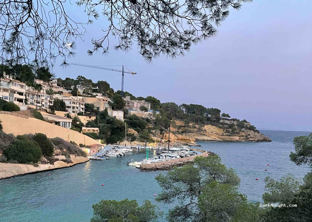 (07181) Sol de Mallorca - 47 Avinguda Portals Vells — foto 5