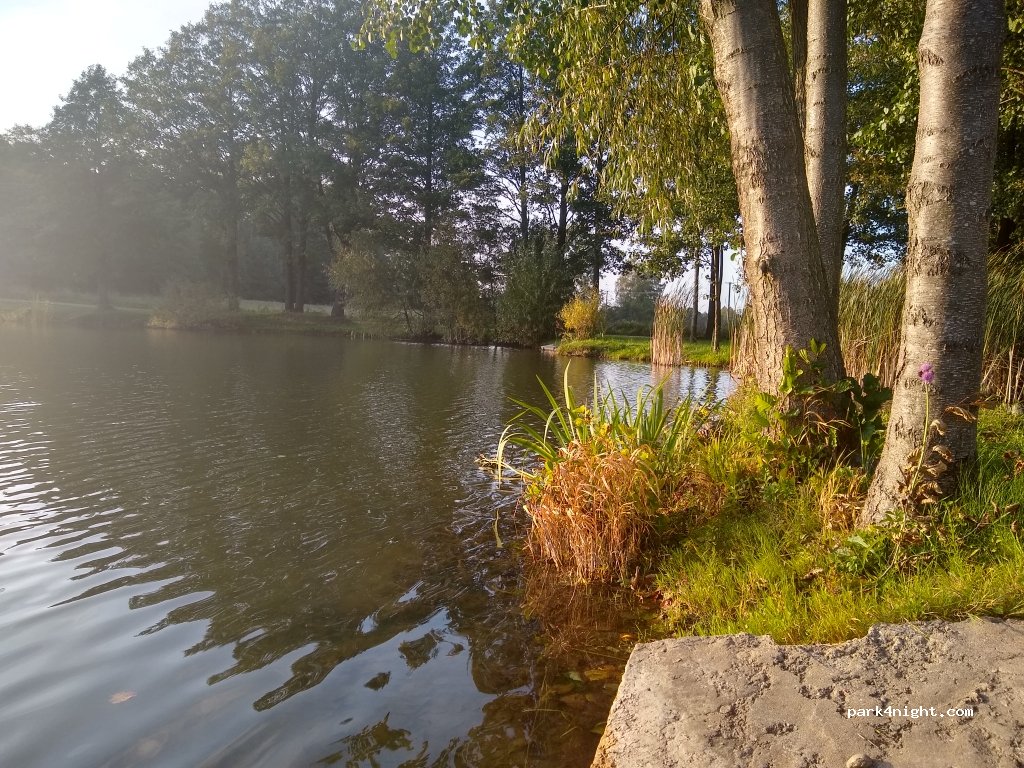 (16-050) Kazimierowo - — foto 3