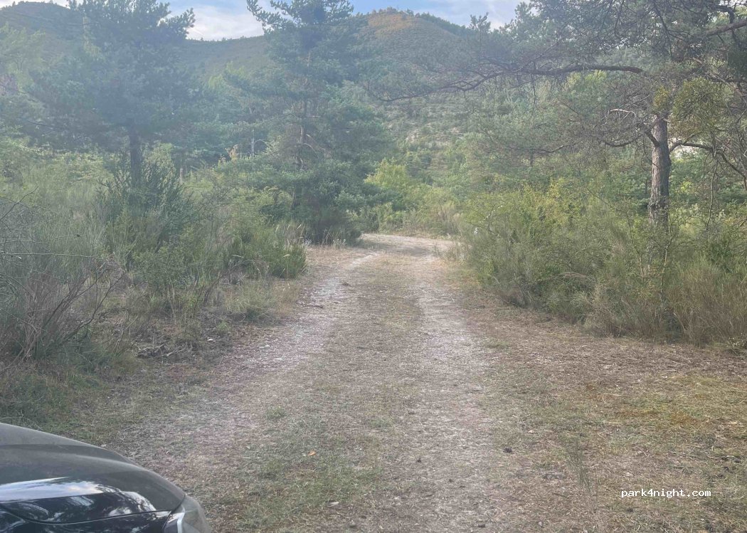 (04120) Castellane - D955 — foto