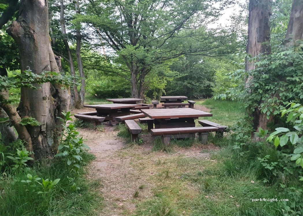 (68642) Bürstadt - Wasserwerkstraße — foto 3