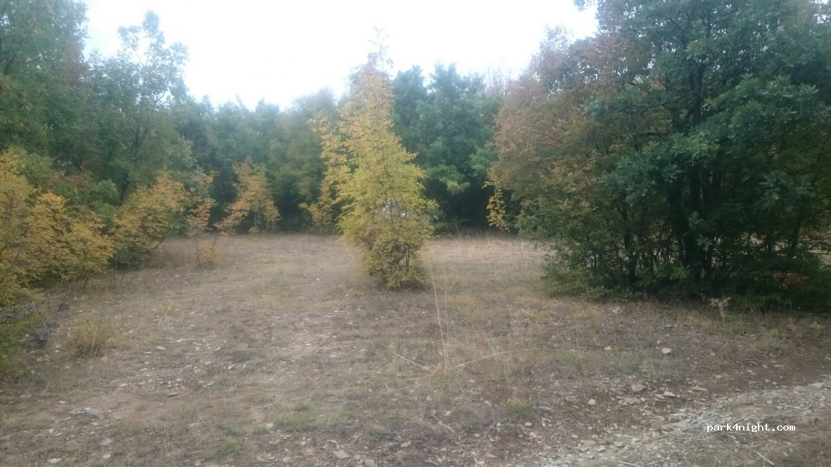 (8434) Kamchia - 7305 — foto